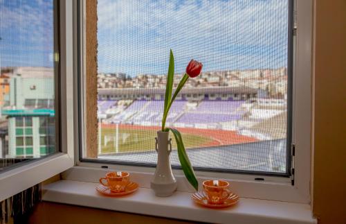 a flower in a vase sitting on a window sill at Stadium Apartments in Veliko Tŭrnovo