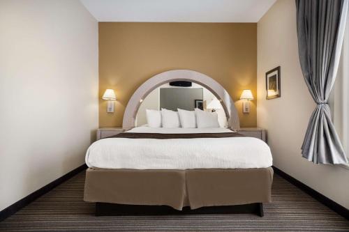 Gray的住宿－Best Western Houma Inn，酒店客房设有一张床和一面大镜子