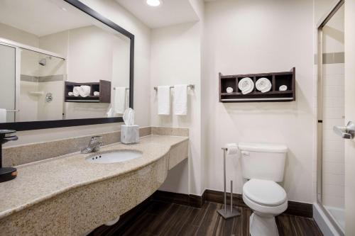 a bathroom with a toilet and a sink and a mirror at Best Western Houma Inn in Gray