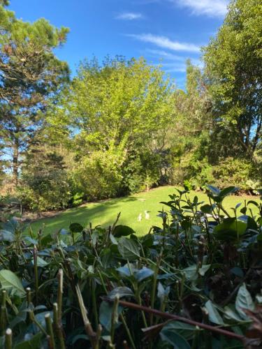 MEIN HAUS – Photos 3
