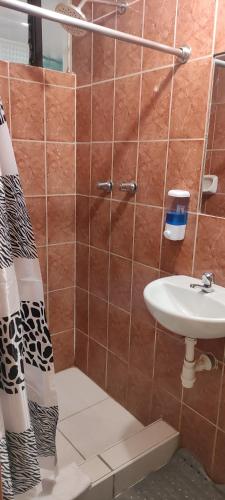 a bathroom with a sink and a shower at Casa D´Maria in Ollantaytambo