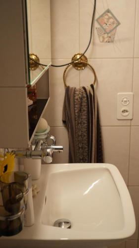 un lavandino in bagno con un asciugamano appeso sopra di Dream apartment in nice villa near forest a Brügg