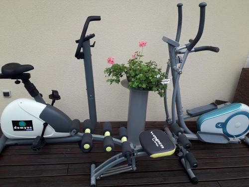 Posilňovňa alebo fitness centrum v ubytovaní Chambre d'hôte avec piscine couverte