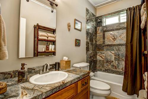 a bathroom with a sink and a toilet and a shower at Hale Luana Big Island in Paauhau