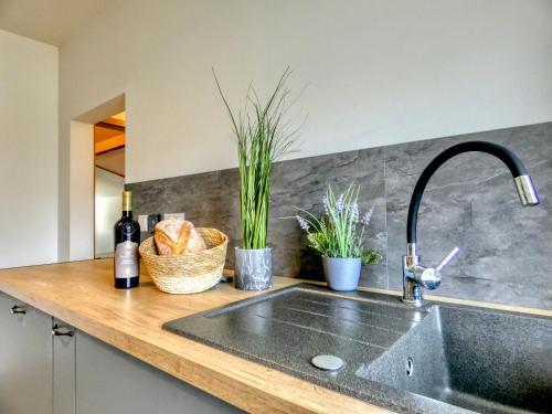 a kitchen counter with a sink and some plants at Altes Fischerhaus am Grimnitzsee in Joachimsthal