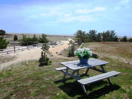 a picnic table with a vase of flowers on it at 31 Pine Road West Dennis Cape Cod - - Shark Lookout in West Dennis