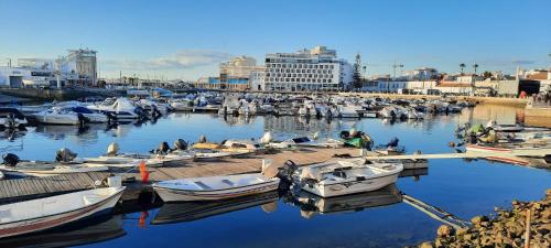 een groep boten is aangemeerd in een haven bij Casa da Açoteia - Bright City Center Apartment with a Private Outdoor Terrace in Faro