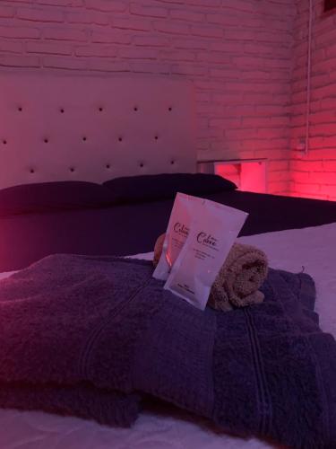 a teddy bear laying on a bed with a book at Habitaciones amplias con baño y garage privado Motel Coloso in Salto