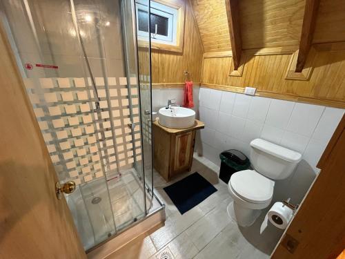 uma casa de banho com um chuveiro, um WC e um lavatório. em Cabañas Llaima em Melipeuco