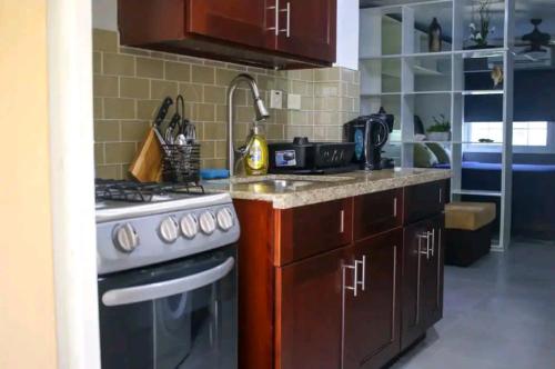a kitchen with a stove and a counter top at Carter's Nest in Kingston
