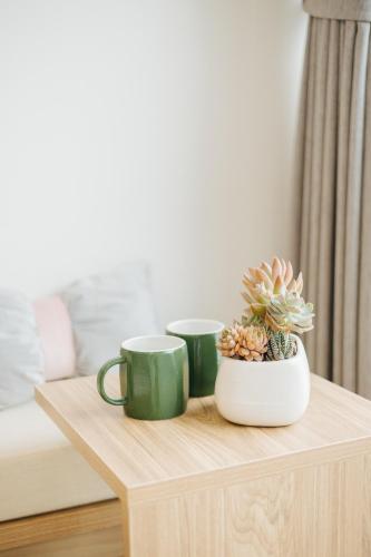 two green coffee cups and a plant on a wooden table at Myrcella Urban Studio in Hanoi