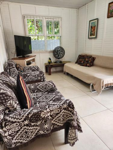 - un salon avec 2 lits et une télévision à écran plat dans l'établissement Casa Praia da Lagoinha, à Florianópolis
