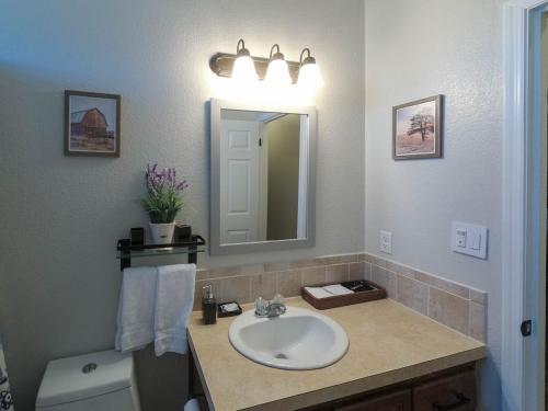 y baño con lavabo, espejo y aseo. en Luxury cottage near lake Belton - WiFi A/C en Belton