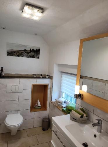 a bathroom with a toilet and a sink at Ferienwohnung Classen Eifel in Schleiden