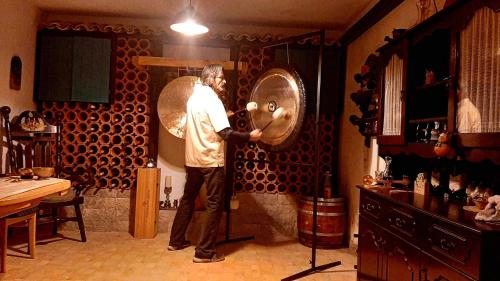 a man playing a drumophone in a room at Vila Salamander in Štanjel