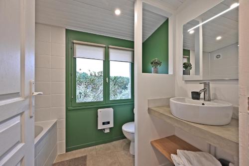een badkamer met een witte wastafel en een groene muur bij Le Mas des Rouquets - avec piscine et jardin in Anduze