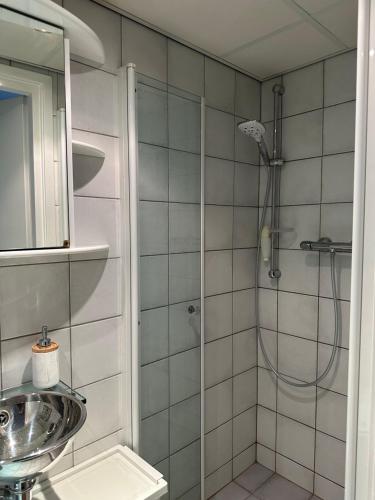 W łazience znajduje się prysznic i umywalka. w obiekcie Apartment Fleurette w Zandvoort