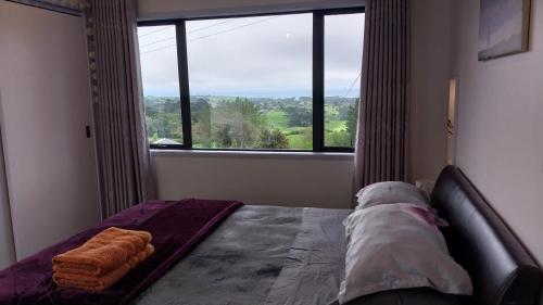 a bed in a room with a large window at Cosy Country Cottage on a Sunny Hill in New Plymouth