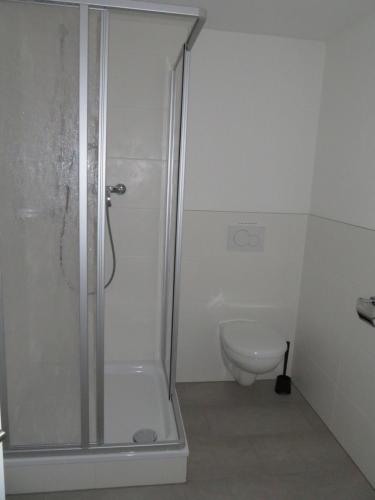 łazienka z prysznicem i toaletą w obiekcie Kleines gemütliches Monteurzimmer w Dreźnie
