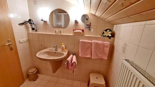 a small bathroom with a sink and a mirror at Gästehaus Fellner in Aschau im Chiemgau