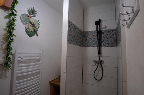 een badkamer met een douche met een douchekop bij Studio cosy au calme in Libourne