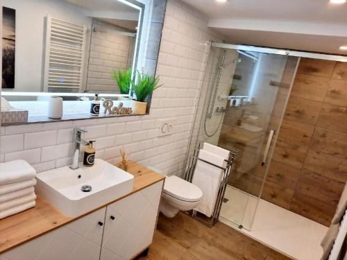 a bathroom with a shower and a sink and a toilet at Parkside Appartement in Grafenau