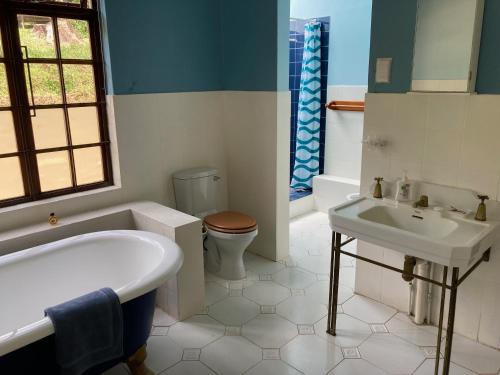 uma casa de banho com uma banheira, um WC e um lavatório. em Irish Hills em Hilton