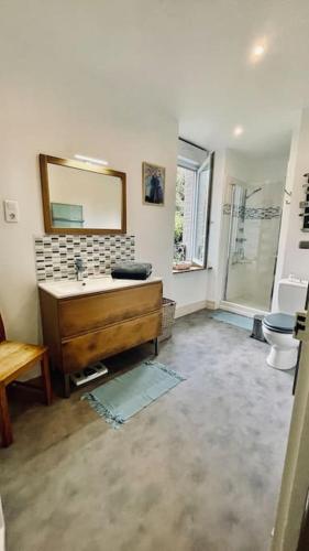 une salle de bain avec un lavabo, des toilettes et un miroir dans l'établissement Ti-maen - La maison de pierres, à Roscanvel