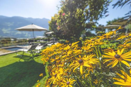 einen Garten mit gelben Blumen und einem Sonnenschirm in der Unterkunft Gardenhotel Crystal - 4 Sterne Superior in Fügen