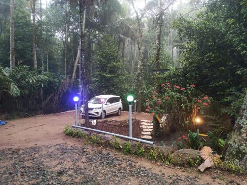 a white car parked in the middle of a forest at SpiceBuds FarmStay - Ramakkalmedu in Idukki