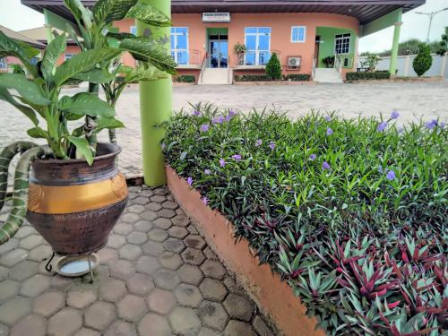 une plante dans un grand pot à côté de quelques buissons dans l'établissement Room in Guest room - Renajoe Exclusive Guesthouse Tema Community 9, à Tema