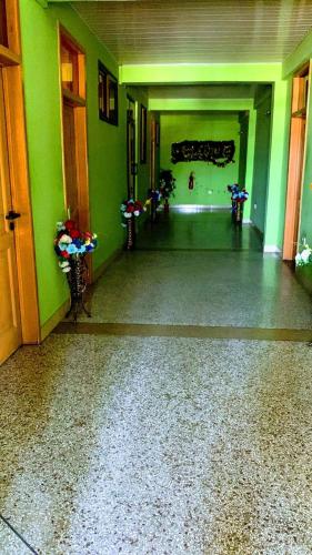 an empty hallway with green walls and plants in a room at Renajoe Exclusive Guesthouse Tema Community 9 in Tema