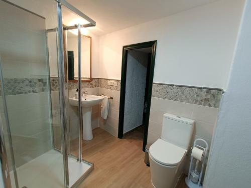 a bathroom with a shower and a toilet and a sink at Casa Rural El Chacho - Velefique in Velefique