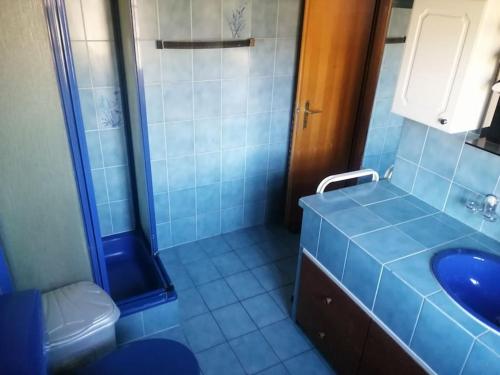 een blauwe badkamer met een wastafel en een douche bij Le Raccard de Turin VS in Salins