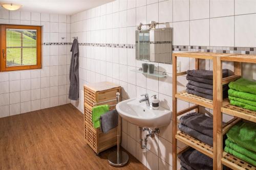 een badkamer met een wastafel en een spiegel bij Haus Oschtna in Sankt Veit in Defereggen