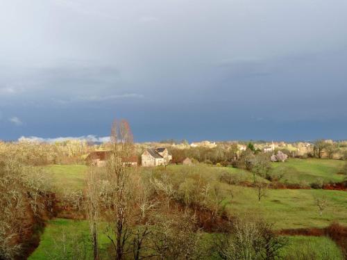 a green field with a house in the distance at Chez Ophélie in Saint-Bazile-de-Meyssac