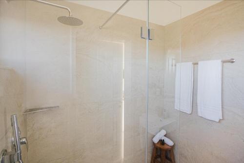 uma casa de banho com um chuveiro e uma porta de vidro em Weinberg Chalets em Malsch
