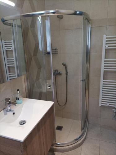 a bathroom with a shower and a sink at Alimos Apartments in Athens