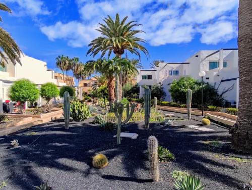 ogród z kaktusami i palmami na ulicy w obiekcie Red Hibiscus Corralejo iRent Fuerteventura w Corralejo