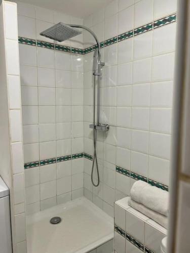 une salle de bain avec une douche avec des toilettes et un lavabo dans l'établissement Super appartement avec terrasse, centre ville, à Saint-Tropez