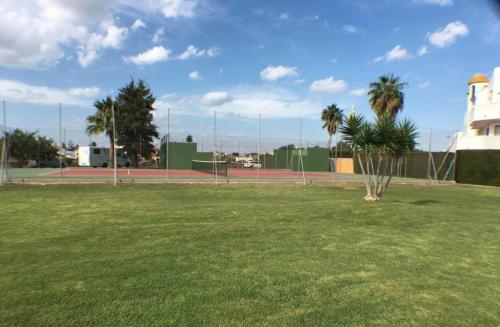 una pista de tenis con palmeras en un campo en APARTAMENTO EN LOS GALLOS en Chiclana de la Frontera