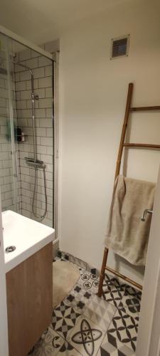 a bathroom with a sink and a shower at Appartement lumineux cosy et calme proche du métro in Créteil