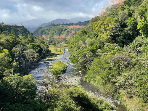 Galería fotográfica de Cabaña puente Wilson en Alto Boquete