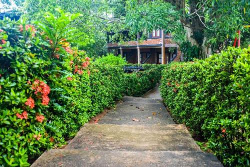 a path through a garden with bushes and a building at Vintara Eco Resort in Hambantota