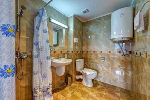 a bathroom with a sink and a toilet and a shower at Complex Silver Hills in Smolyan