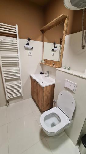 a bathroom with a toilet and a sink and a mirror at Apartmani Kakanj in Kakanj