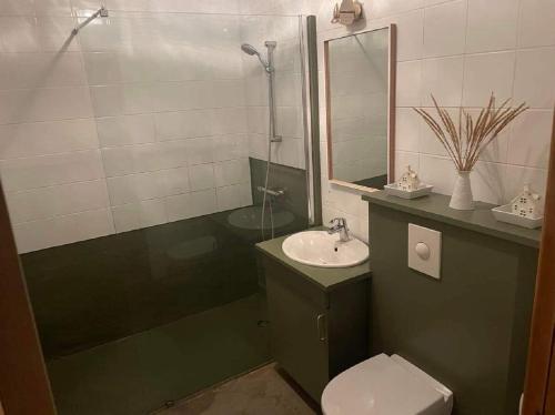 uma casa de banho com um lavatório, um WC e um espelho. em ÖXL Snæfellsnes em Snæfellsbær