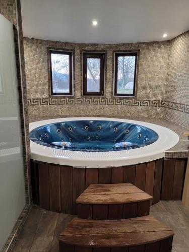 a large blue tub in a room with windows at Guesthouse Green Fields in Garmen