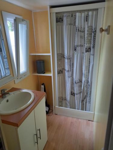 uma casa de banho com um lavatório e um chuveiro em Mobil home 4 personnes em Saint-Paul-lès-Dax
