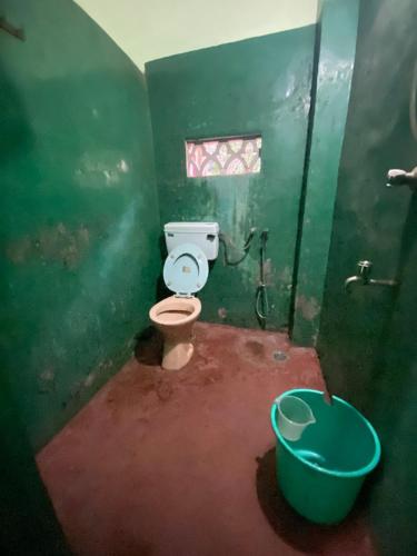 a green bathroom with a toilet and a tub at Castellos tourist nest in Benaulim